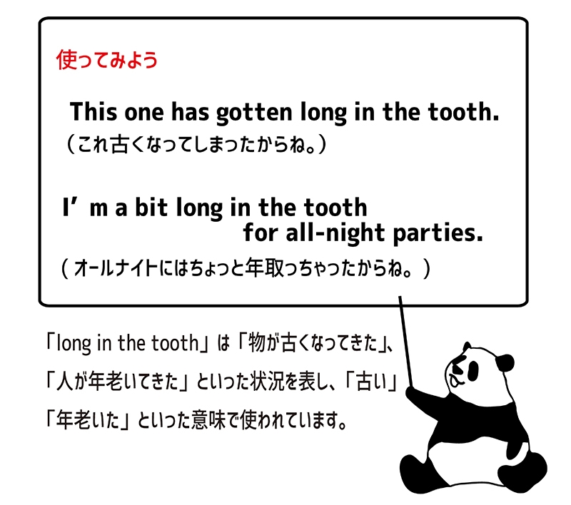 long in the toothの使い方