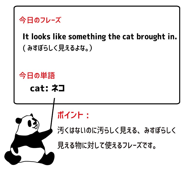 look like something the cat brought inのフレーズ