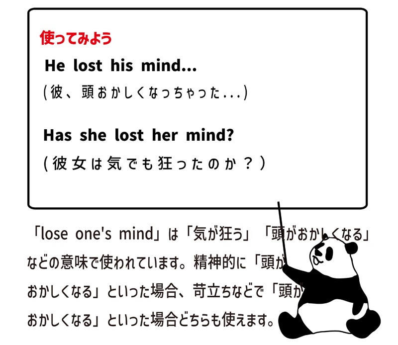 Lose One S Mind Meaning In English