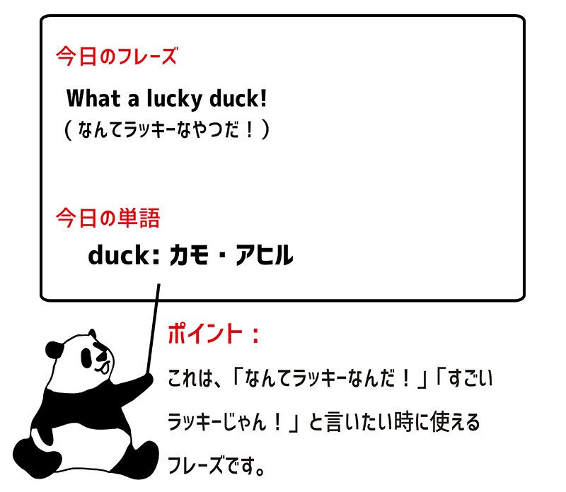 lucky duckのフレーズ