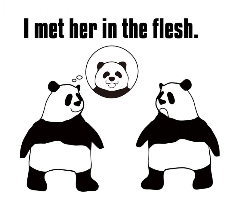 meet someone in the fleshの意味と使い方 eigolab(えいご研）