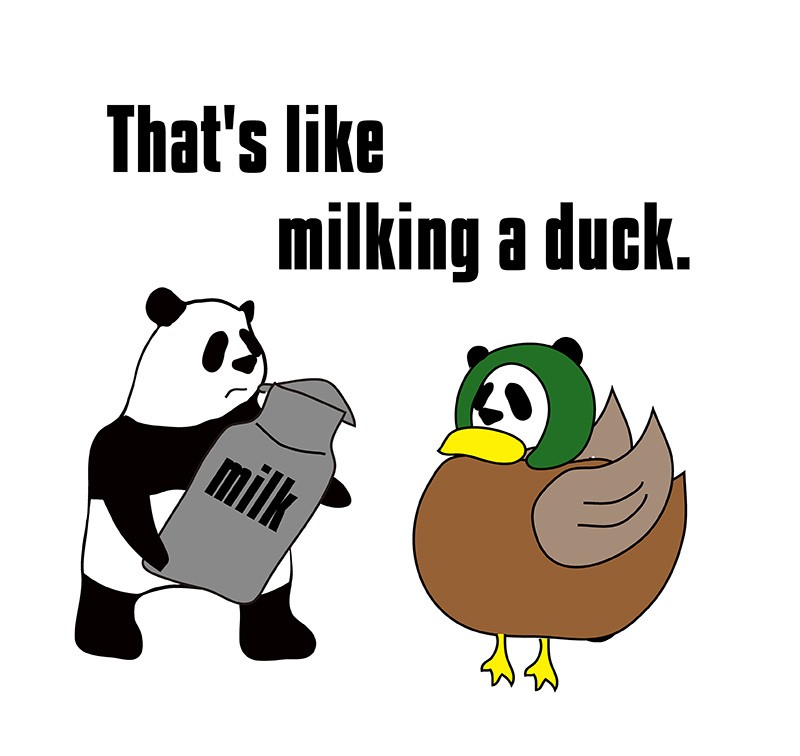 milk a duckのパンダの絵