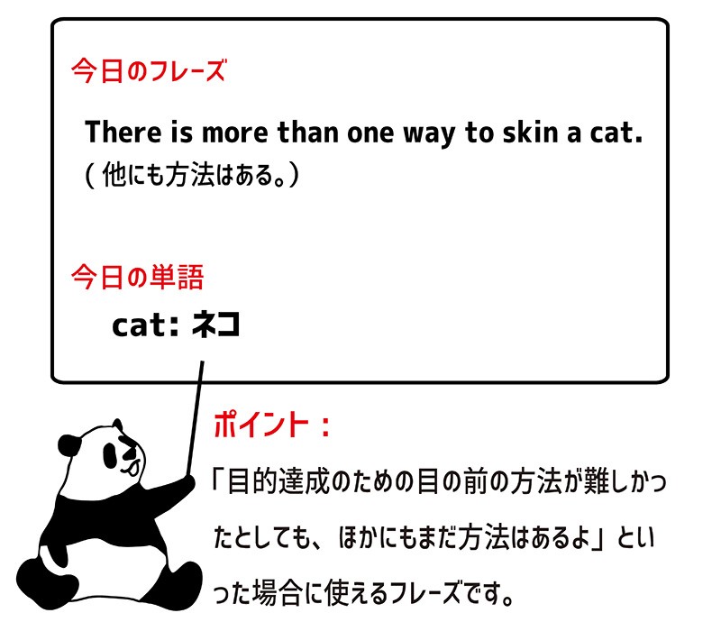more than one way to skin a catのフレーズ