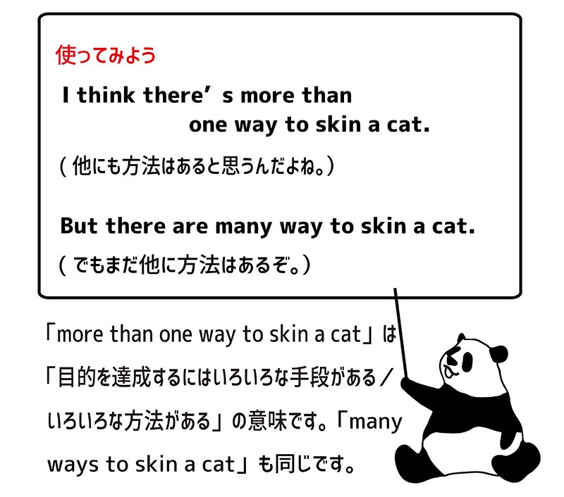 more than one way to skin a catの使い方