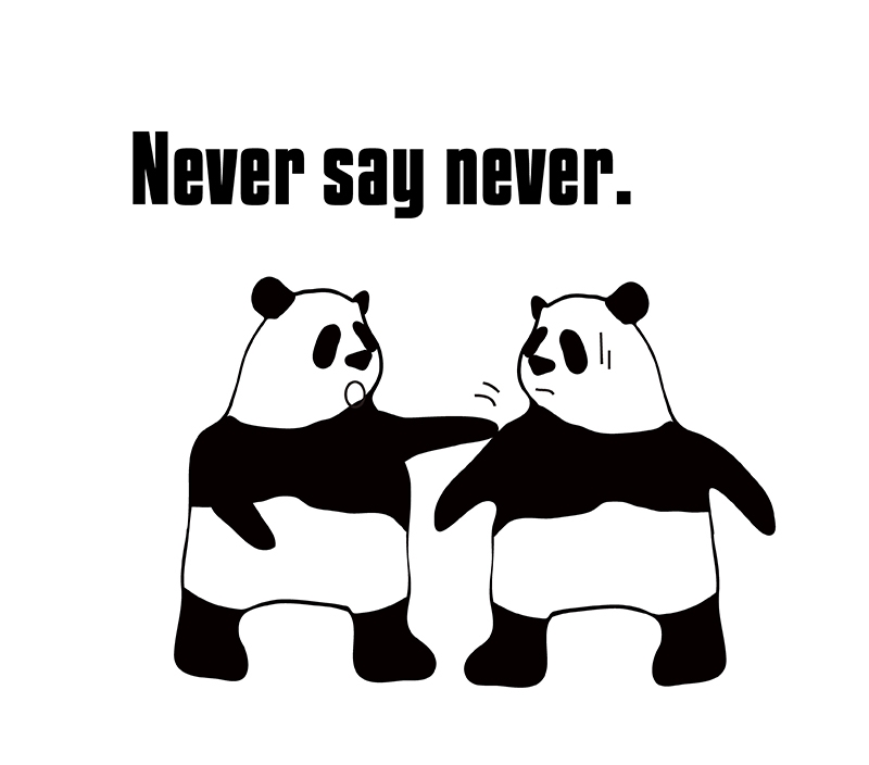 never say neverのパンダの絵