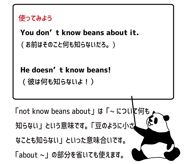 not know beans aboutの使い方