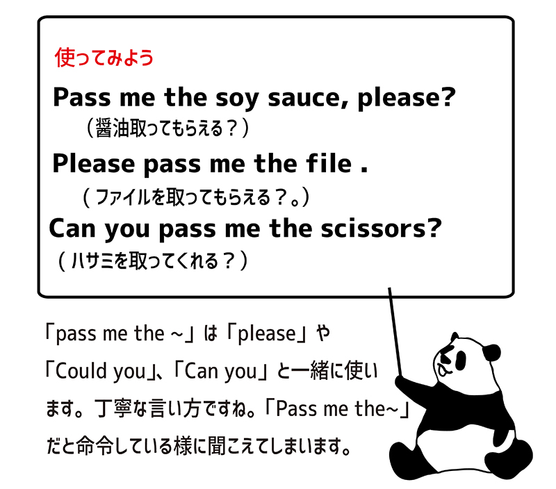 Could you pass me the salt?の例文