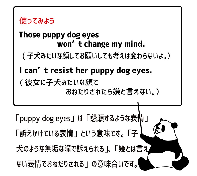 puppy dog eyesの使い方