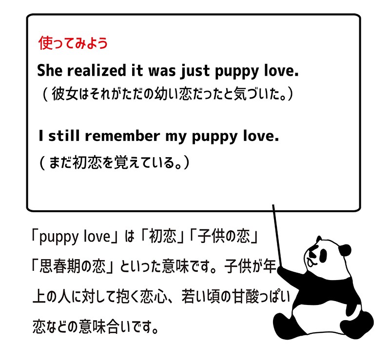 puppy loveの使い方