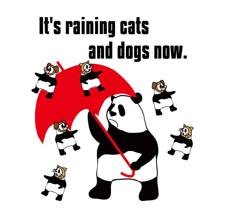 raining cats and dogsのパンダの絵