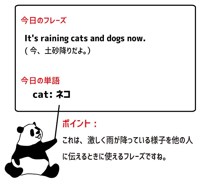 raining cats and dogsのフレーズ