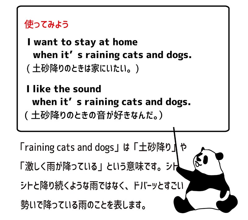 raining cats and dogsの使い方