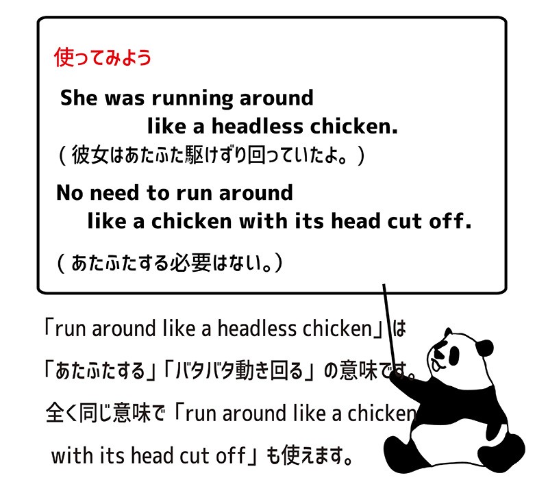 Run Around Like A Headless Chicken Eigo lab 