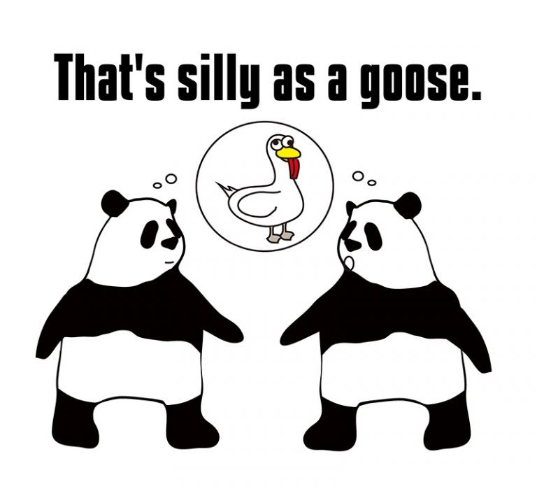 as-silly-as-a-goose-eigo-lab