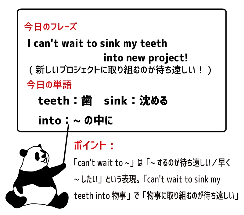 sink one's teeth intoのフレーズ