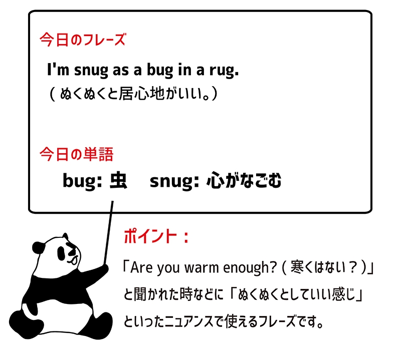 snug as a bug in a rugのフレーズ