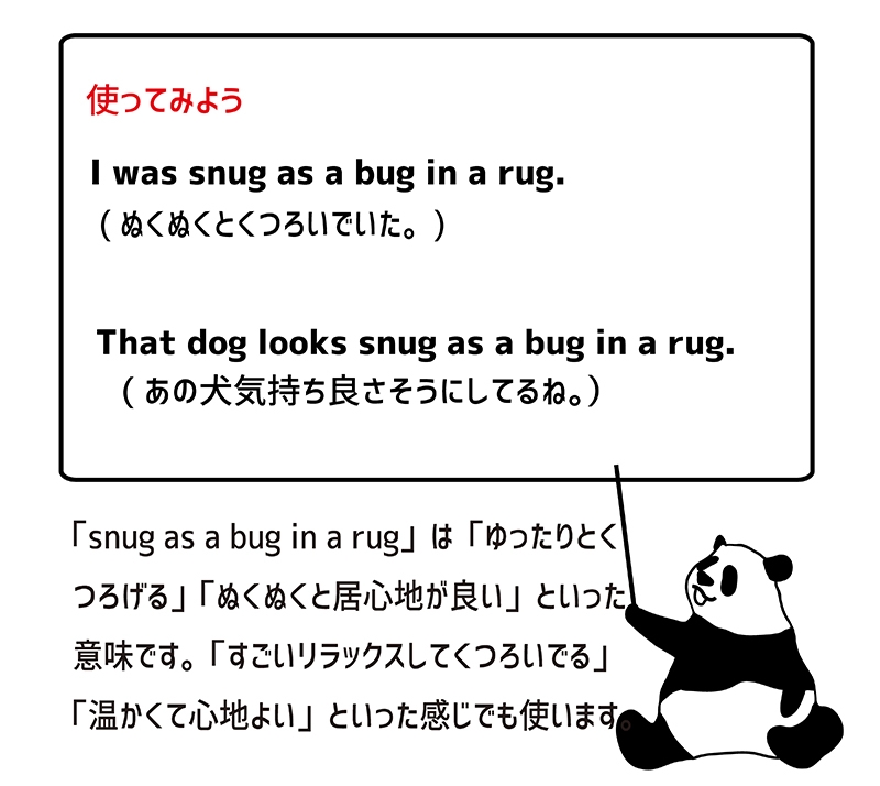 snug as a bug in a rugの使い方