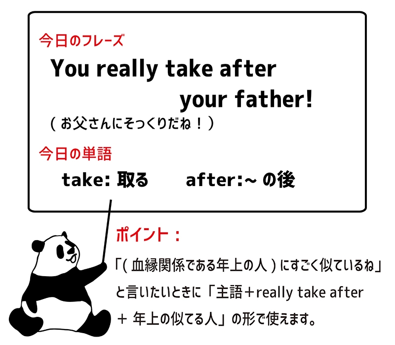 take afterのフレーズ
