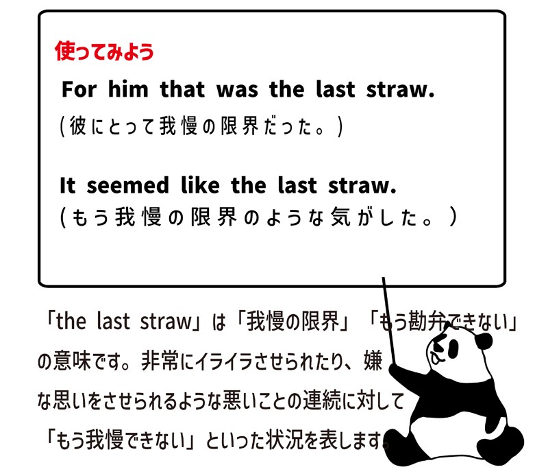 the-last-straw-eigo-lab