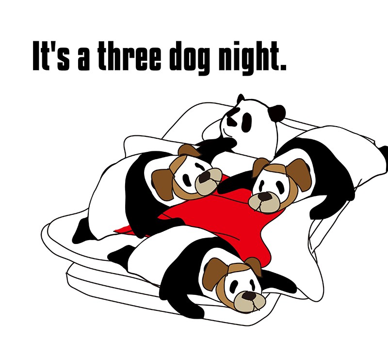 three dog nightのパンダの絵