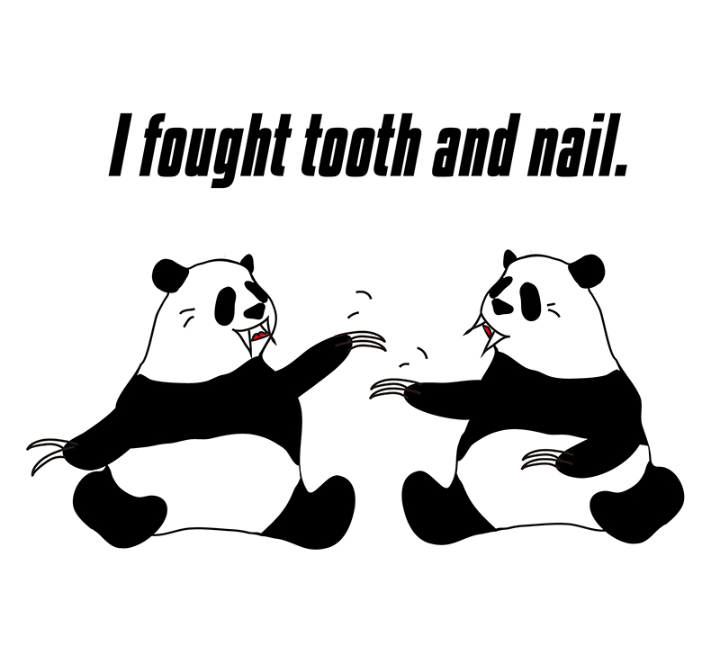 fight tooth and nailのパンダの絵