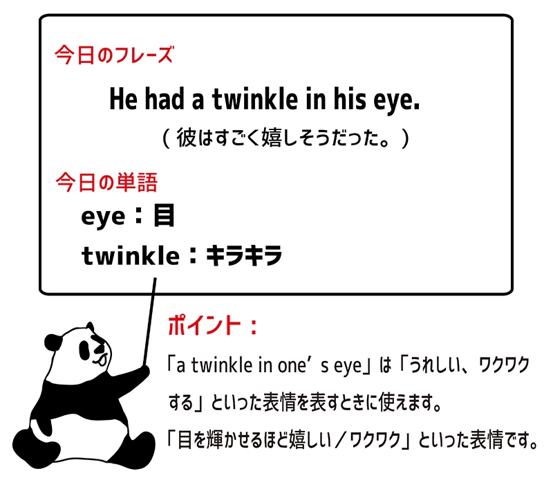 a twinkle in one's eyeのフレーズ