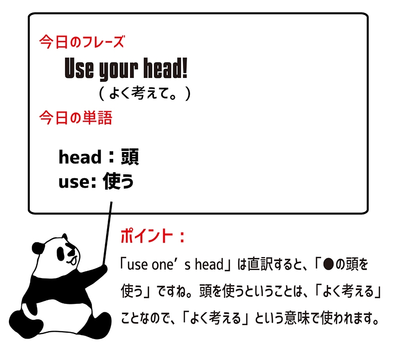 use your head!のフレーズ
