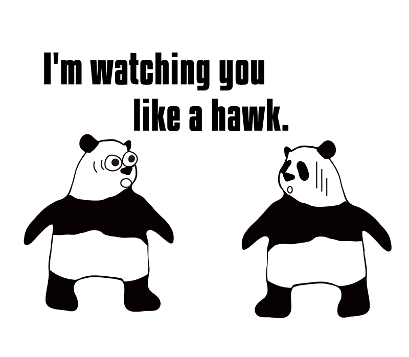 watch like a hawkのパンダの絵