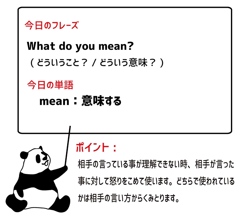 what do you mean?のフレーズ