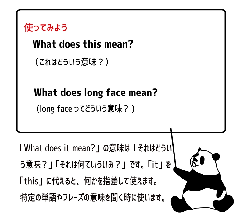 what does it mean?の使い方