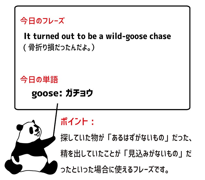 wild-goose chaseのフレーズ