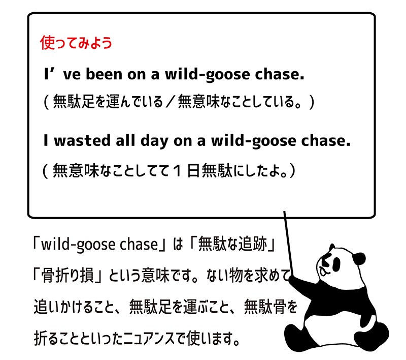 wild-goose chaseの使い方